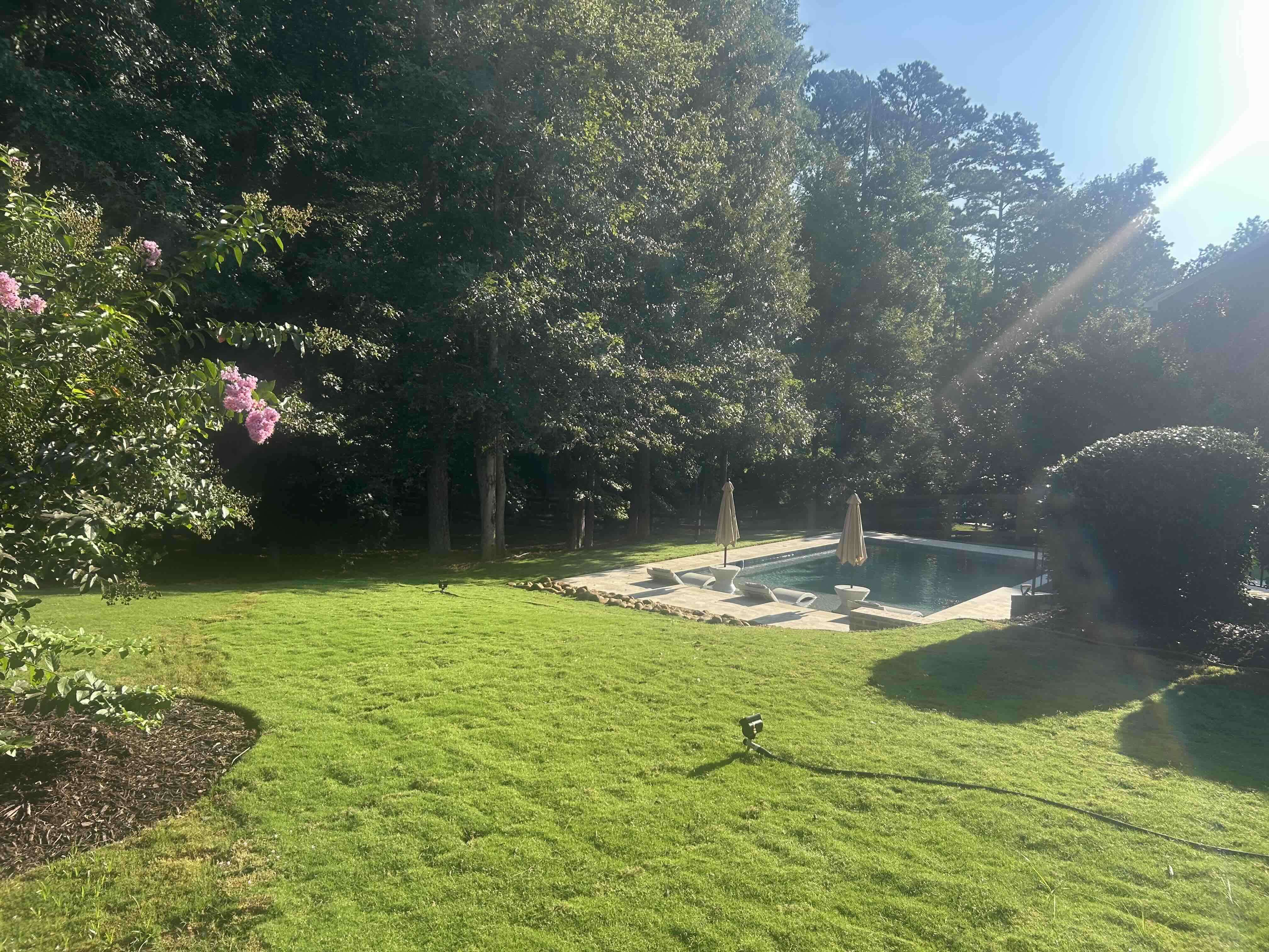 Lush landscaped backyard with fresh lawn, flowering trees, and a custom pool in Metro Atlanta